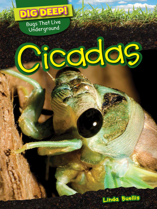 Title details for Cicadas by Linda Buellis - Available